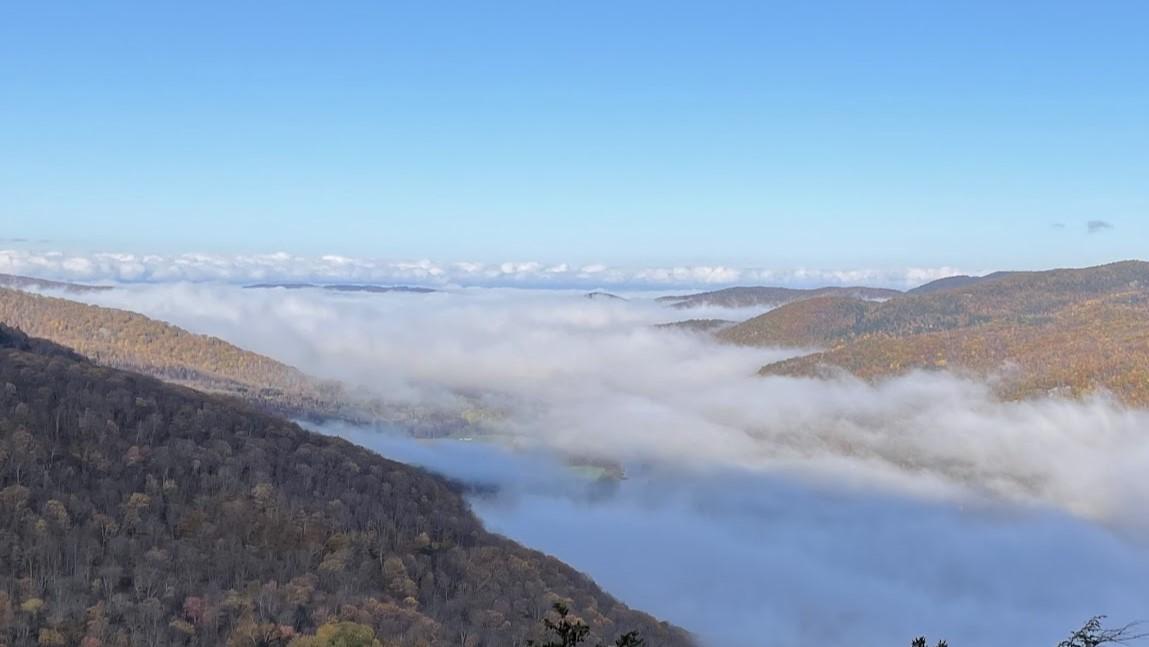 An image of forested mountains with a white cloud through the valley between them