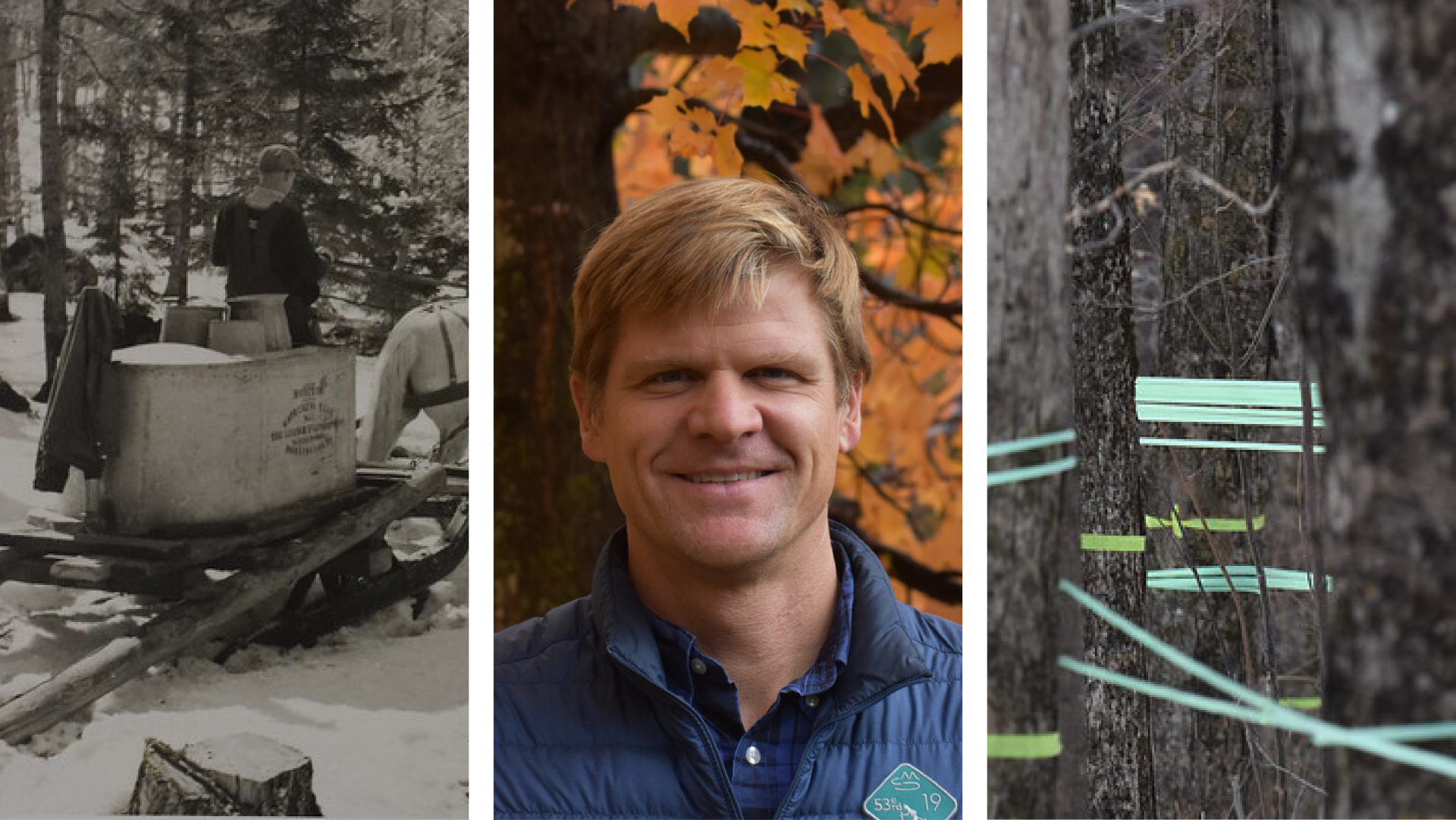 Composite image with three panels. Left panel has a black and white photo of an old sled being pulled by a horse; a headshot of Mark Isselhardt is in the center; and on the right is a photo of blue tubing for maple sap collection on trees.