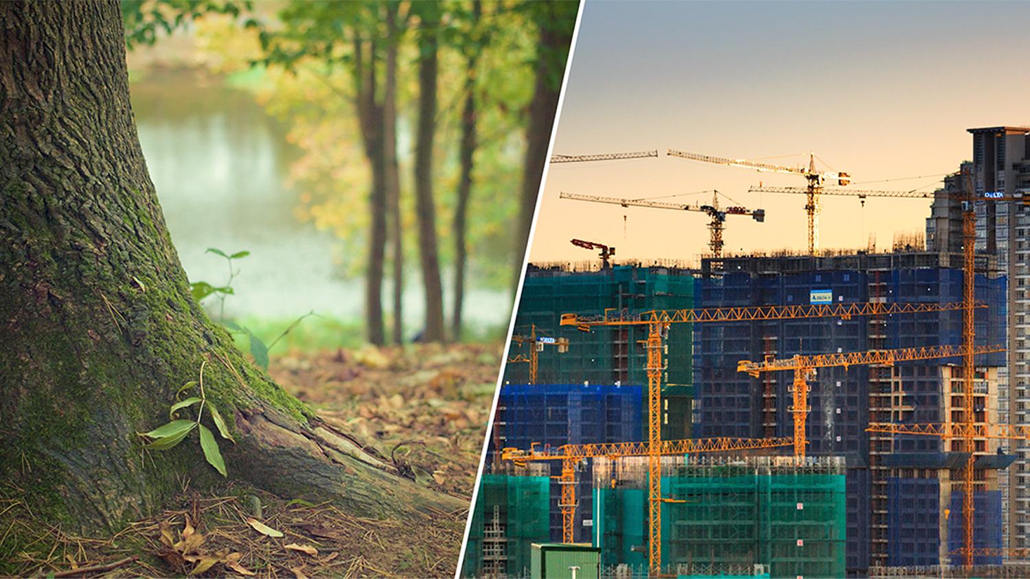 A composite image of nature pressured by urban development