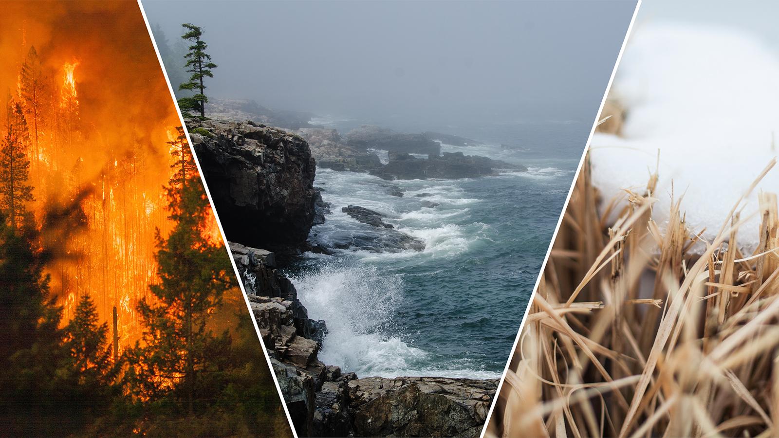Photo composite of a wildfire, waves hitting a rocky coastline, and a layer of snow atop brown grass.