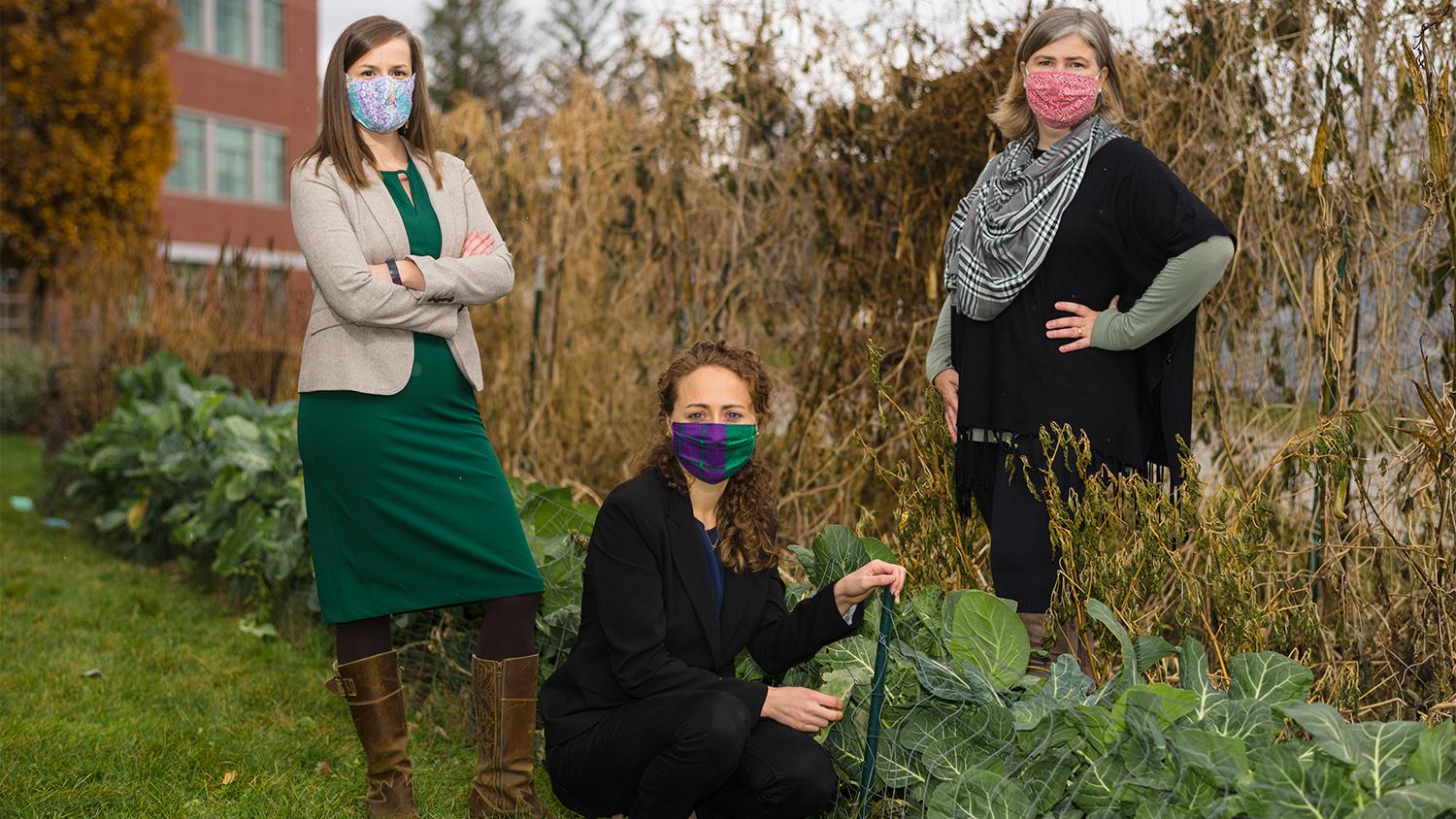 An image of UVM food security researchers Meredith Niles (left), Emily Belarmino (center), and Farryl Bertmann (right).