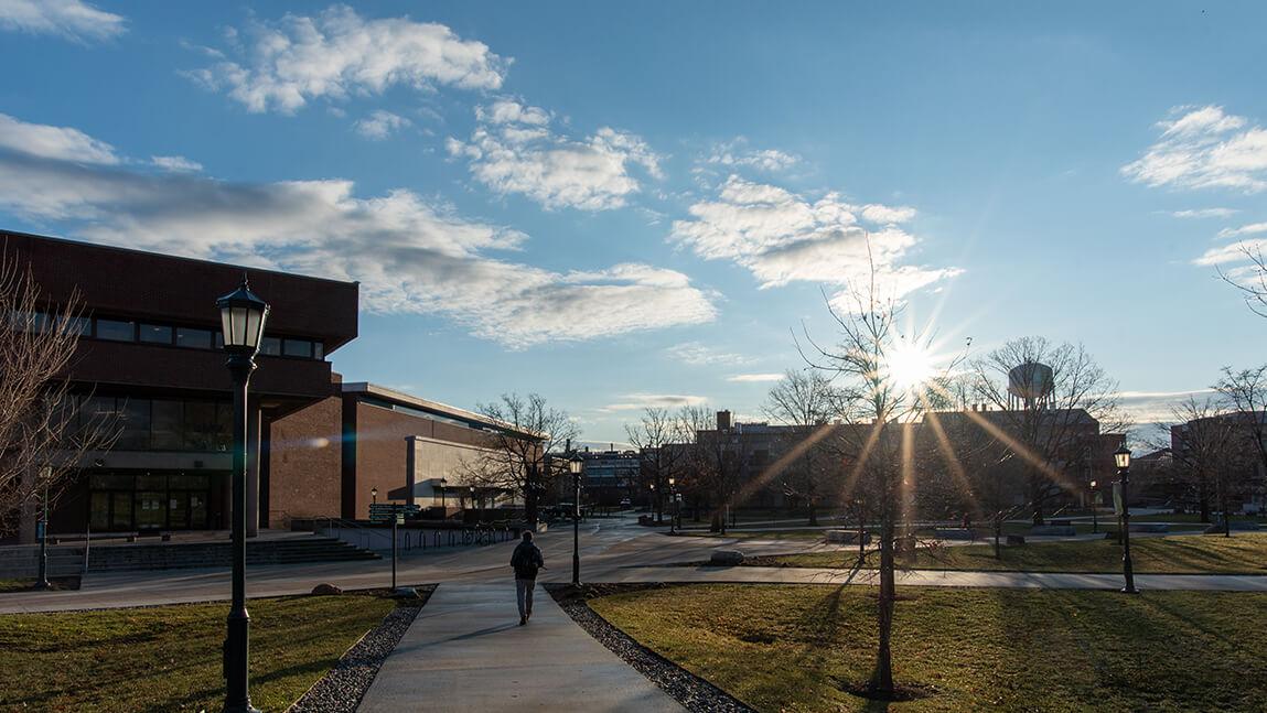 library sunrise