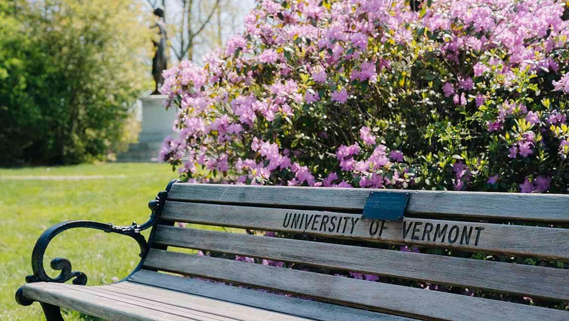 University of Vermont bench with spring flowers