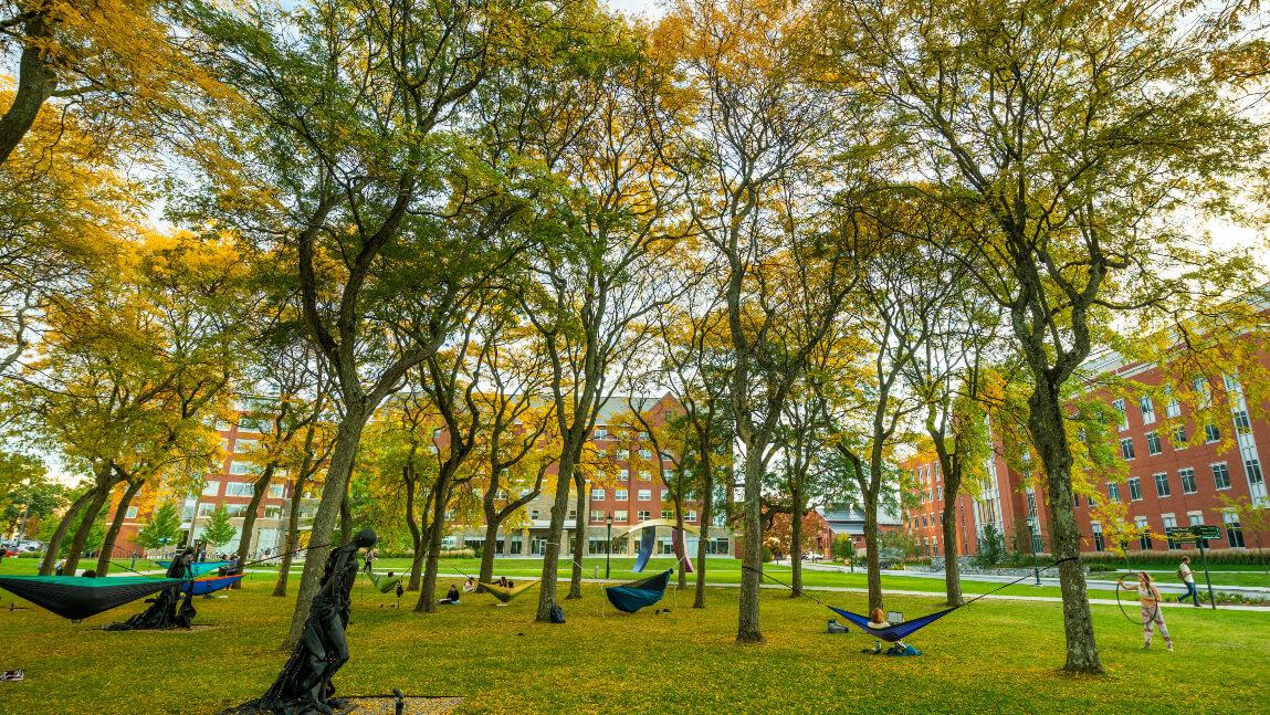 Students in hammocks