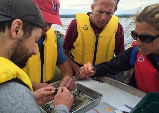 teachers evaluate zebra mussels