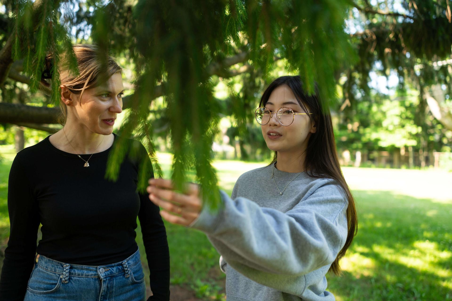 two women stand under a pine tree talking