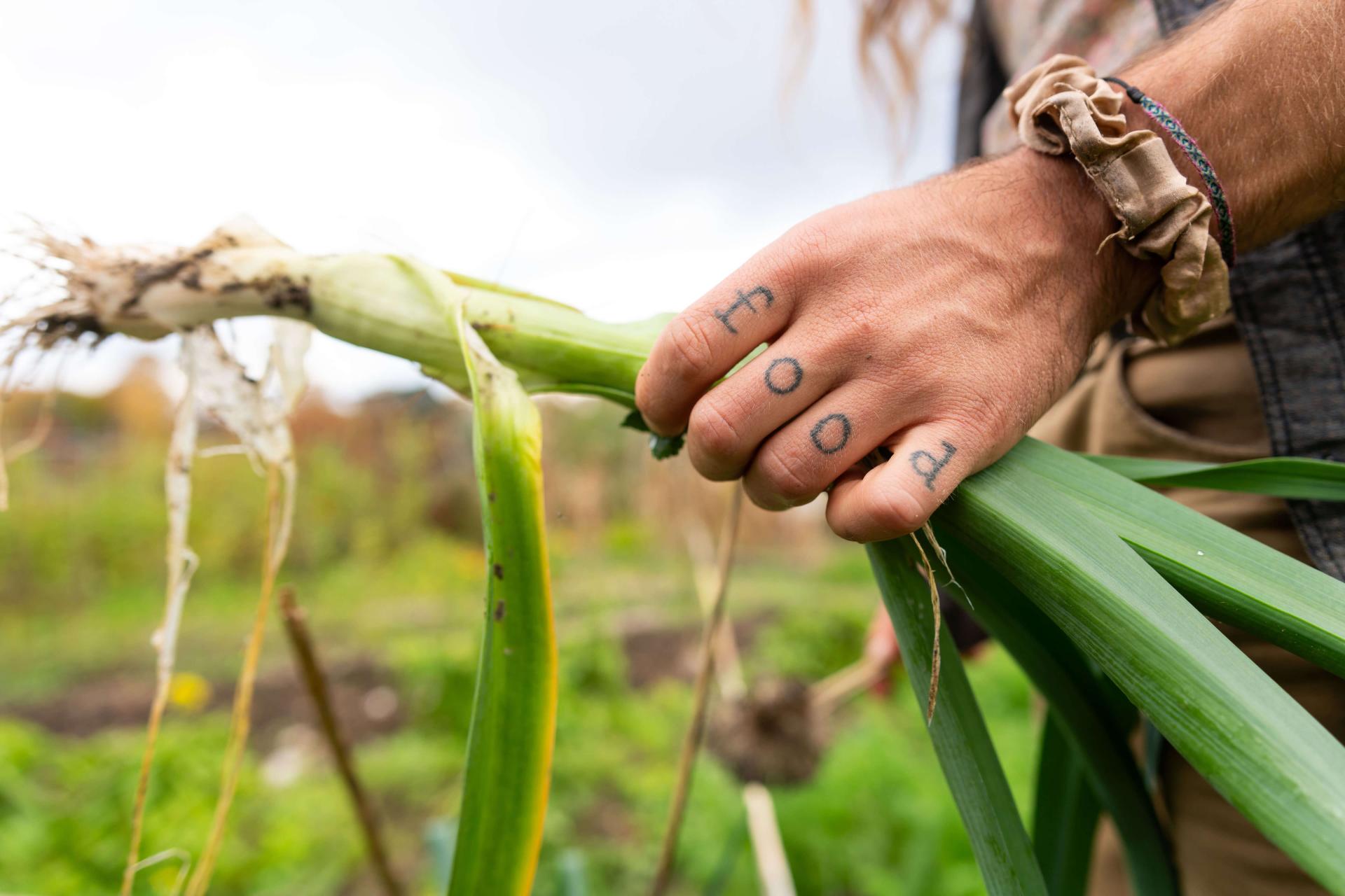 Sam Bliss stands in a community garden holding a leek. The word "food" is tattooed across his fingers