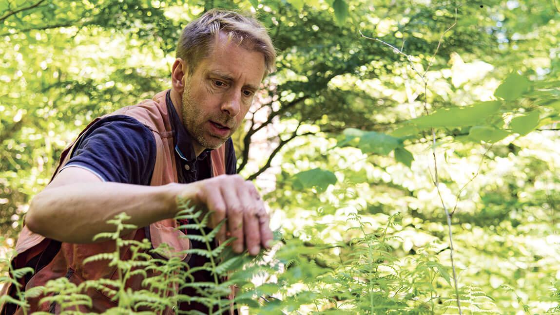 Bill keeton investigates a plant close up